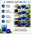 Blue Pea Herbal Infusion