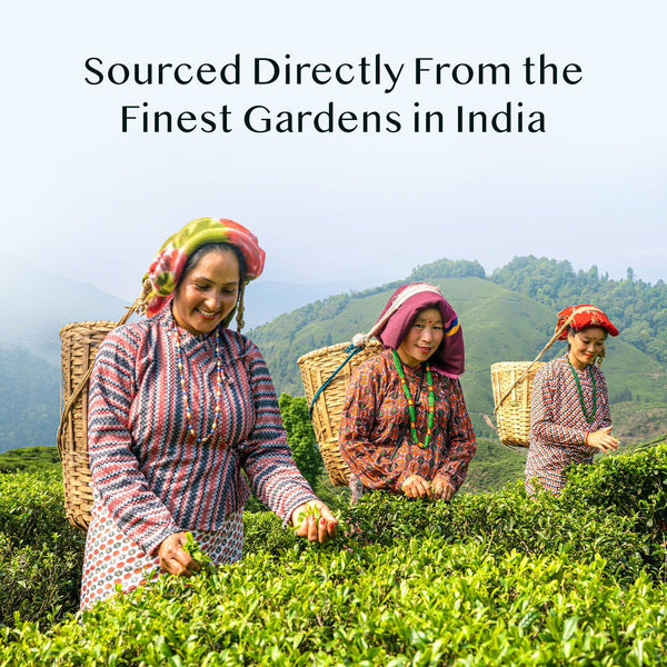 Himalayan Green Tea, 100 g