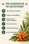Sea Buckthorn Tea