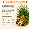 Active Lifestyle Tea