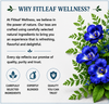 Blue Pea Herbal Infusion